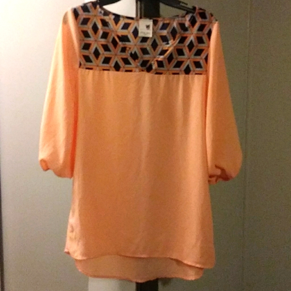 Pink Owl 3/4 length blouse
